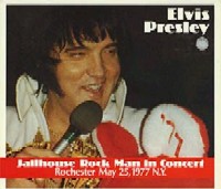 Jailhouse Rock Man In Concert